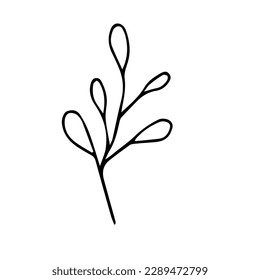 Doodle Branch isolated on white background. Simple black contour Tree Branck with Leaves. Hand Drawn Spring Flower. Vector illustration. Summer symbol.