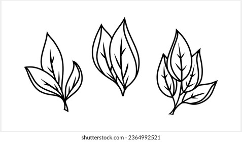 Doodle branch with leaf icon isolated. Sketch leaf  clipart Vector stock illustration. EPS 10 - Shutterstock ID 2364992521