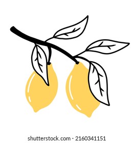 Doodle branch with lemons. Lemons with leaves. Vector illustration. Lime illustration.