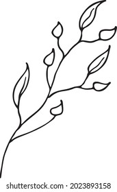 
The doodle branch. A simple vector drawing by hand in a black outline. A branch, a frame for leaves and flowers, a border. Decorative image for invitations, illustrations, decorations, banners, busin