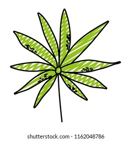 doodle branch tropical plant leaves style