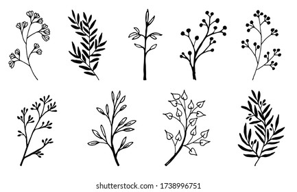 Doodle branches set for wedding, greeting or invitation card design. Vector floral illustrations isolated on white background.