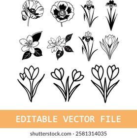 Doodle branches set for wedding, greeting or invitation card design. Vector floral illustrations isolated