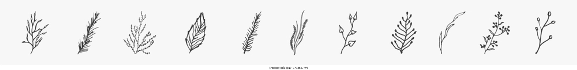 doodle branches for story on a white background