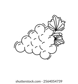 Doodle of Bunch of grapes Vector illustration