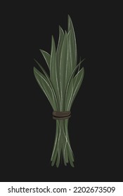Doodle bunch of plants isolated. Hand drawn bouquet of green leaves. Vector illustration
