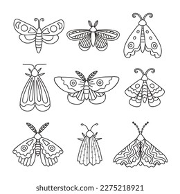 Doodle Butterflies and Moths collection. Set of hand drawn insects. Black line art vector illustration on white background