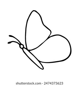 Doodle butterfly on isolated background.Insect vector element.