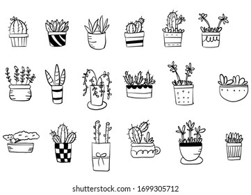 Doodle cactus, flowers and leaves square on a white background