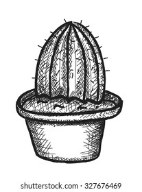 doodle cactus, vector illustration