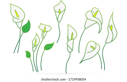 Doodle calla lilies icon isolated on white. Sketch flower. Hand drawing line art. Outline vector stock illustration