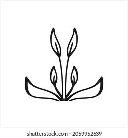 Doodle calla lilies icon isolated on white. Sketch flower. Hand drawn line art. Vector stock illustration. EPS 10