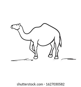 doodle camel illustration hand drawn style vector isolated