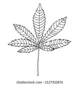 Doodle Cannabis Leaf Hand Drawn Black Outline