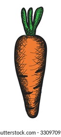doodle carrot, vector illustration icon