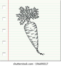 Doodle Carrot vegetable with leaves
