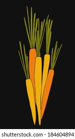 Doodle carrots vector illustration