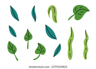 Doodle cartoon leaves set. Tree leaf, palm tree, flower collection. Decorative leaf elements for cards. Stock vector illustration isolated on a white background.