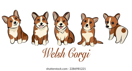 Doodle Cartoon Pembroke Welsh Corgi illustration set in different poses. Cute sitting, running and lying vector dog isolated on white background