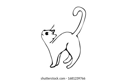 doodle cat asks for food. cute clip art. black and white. copy space. horizontal
