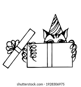 Doodle cat peeking out of a box in a festive hat.Vector composition can be used for postcards,notebooks,textiles, and packaging.