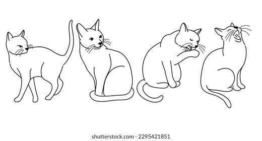 Doodle Cat posa. La caricatura de grasa roja estriba las emociones y el comportamiento de los gatos. El gatito de mascotas es juguetón, durmiente y asustado. Conjunto de vectores de lenguaje corporal de gato. Ilustración de gato mascota, lindo gatito a rayas