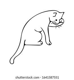 Doodle cat washing one paw, black and white illustration on white background. Cute animal vector