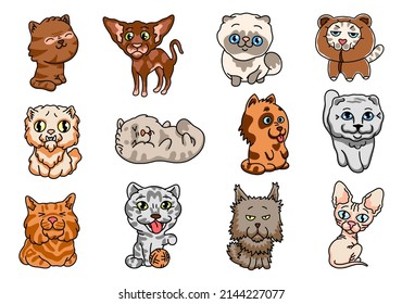 Doodle cats. Cute abstract minimalistic adorable home pets, fluffy kittens and funny animals. Vector set
