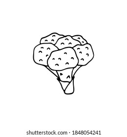 Doodle cauliflower, broccoli. Hand-drawn images. Vector for posters, web, textiles, children's coloring pages.