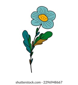 Chamomila de perro con color. Flor dibujada a mano. Elemento para el diseño