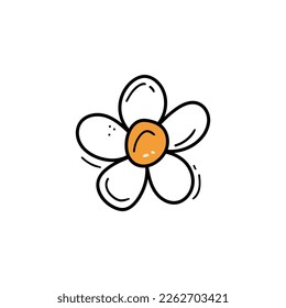 Doodle chamomile flower. Hand drawn vector art illustration for design, textile, wallpaper. Handwriting. Abstract minimal daisy. Doodle color daisy