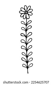 Doodle de camomila aislado en el fondo blanco. Ilustración vectorial dibujada a mano de la flor primaveral en estilo de dibujos animados.