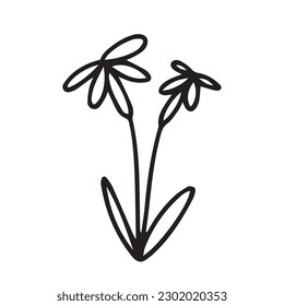 Ilustración del vector del camomila del perro. Esbozo de gamomile silvestre dibujado a mano