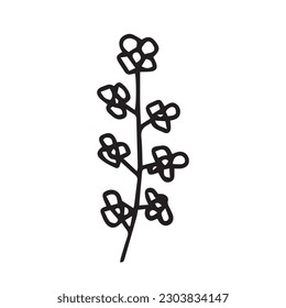 Doodle chamomile vector illustration. Hand drawn wild chamomile sketch