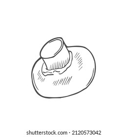 Doodle Champignon mushrooms sketch. Vector illustration isolated on white
