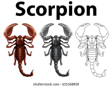Doodle character for scorpion illustration