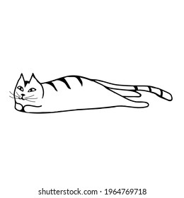 Doodle is a charming cat lying with outstretched paws on a white background.The vector cat can be used in textiles,notebook covers,and postcards.