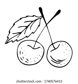 Doodle Cherry. Cera madura en una rama con una hoja. Dibujo a mano libre. Un conjunto de cerezas. Líneas negras sobre un fondo blanco. Cerezo aislado en un fondo blanco. Vector.