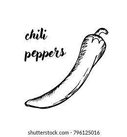 doodle chili pepper black and white picture hand drawn
