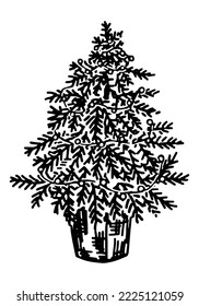 Doodle of Christmas fir tree. Outline drawing of small spruce in pot decorated garland. Hand drawn vector illustration. Single clipart isolated on white..