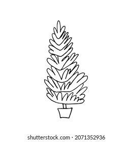 Doodle Christmas tree illustration. Simple thuja doodle. Vector stock illustration.