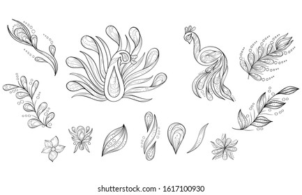 Doodle clipart with peacock and feather 