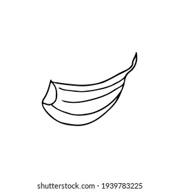 Doodle clove of garlic in vector. Hand drawn clove of garlic in vector. Hand drawn garlic illustration in vector.