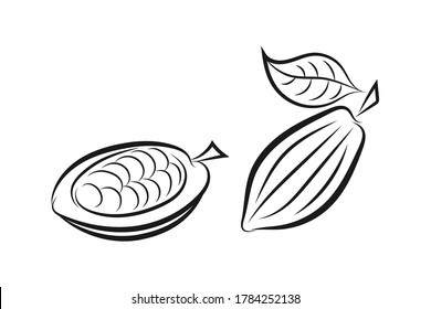 Doodle cocoa icon isolated on white. Hand drawing line art. Chocolate food. Sketch vector stock illustration. EPS 10
