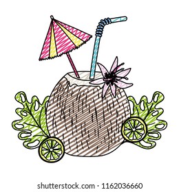 doodle coconut beverage and lemons with tropical plants