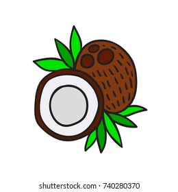 Doodle coconut. Simple vector illustration on white background.