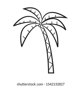 doodle coconut tree  icon vector