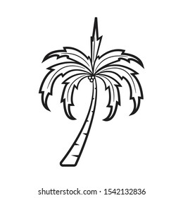 doodle coconut tree  icon vector