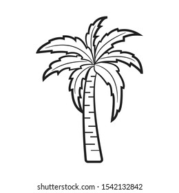 doodle coconut tree  icon vector