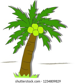 Doodle coconut tree simple style